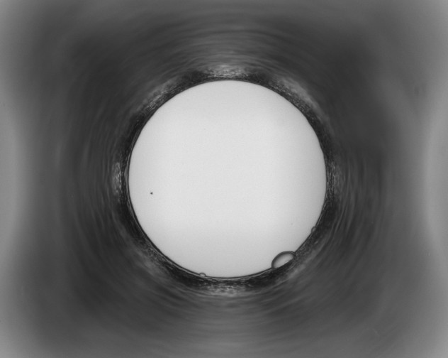 X0000083530549200703091514