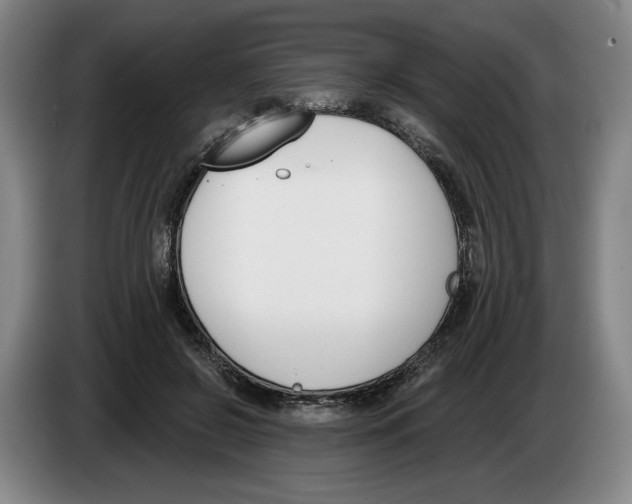 X0000083530550200703091514