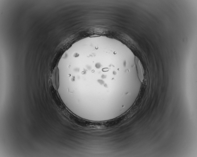 X0000083530552200703091514