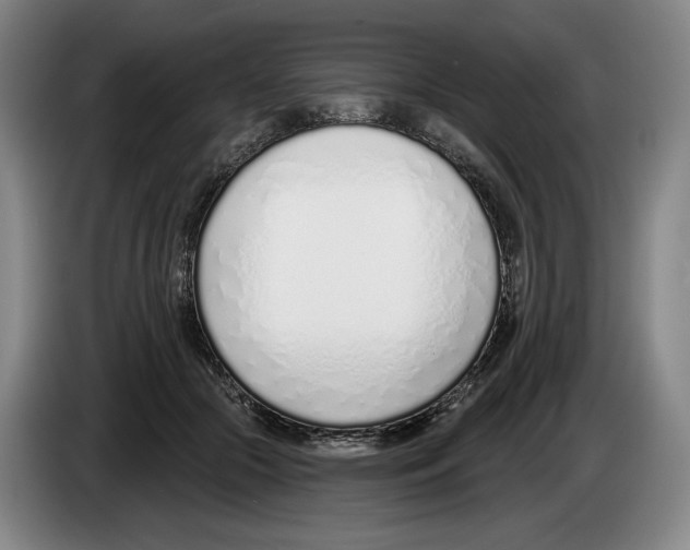 X0000083530553200703091514