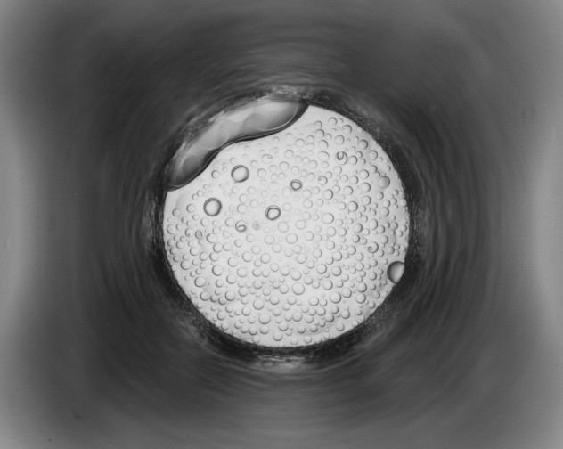 X0000083530554200703091514