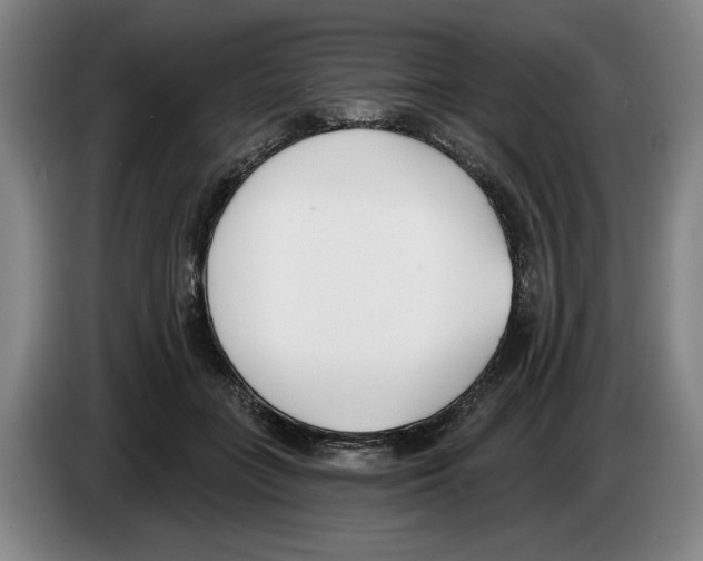 X0000083530555200703091514