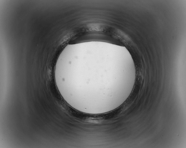 X0000083530556200703091514