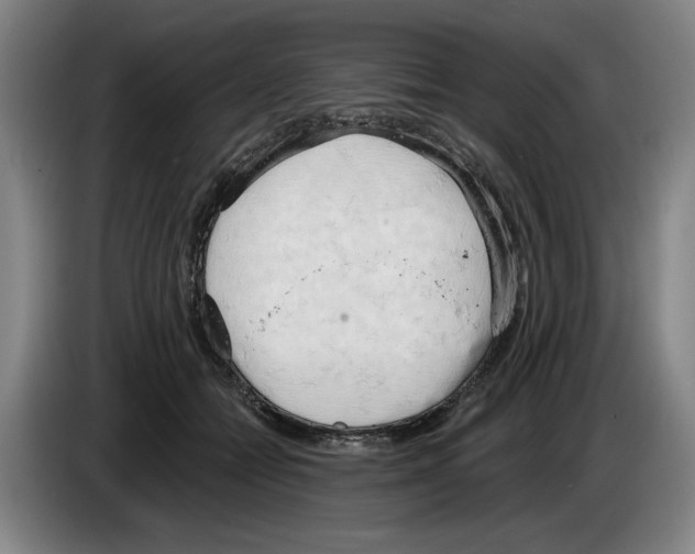 X0000083530558200703091514