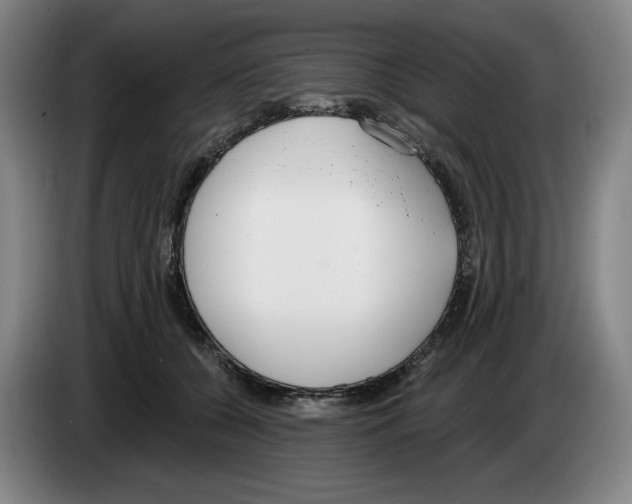 X0000083530560200703091514