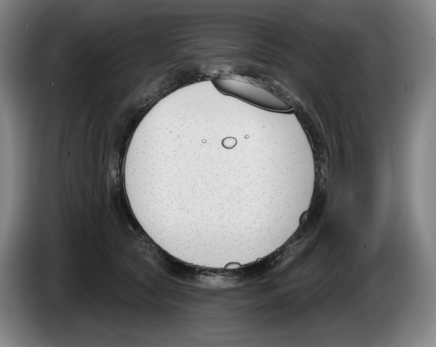 X0000083530561200703091514