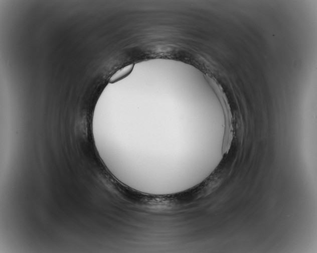 X0000083530562200703091514