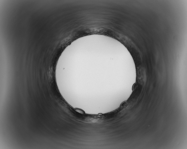 X0000083530563200703091514