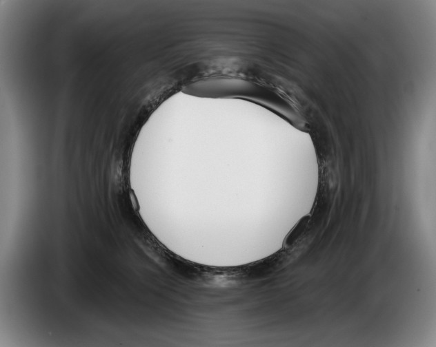 X0000083530564200703091514