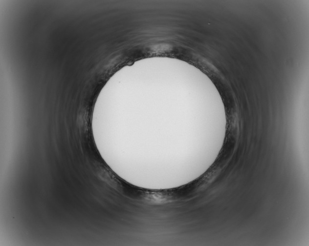 X0000083530565200703091514