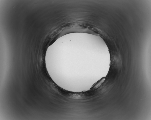 X0000083530566200703091514