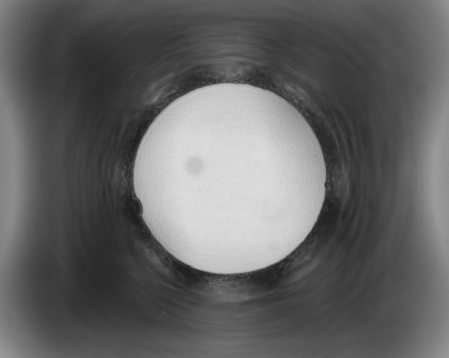 X0000083530568200703091514