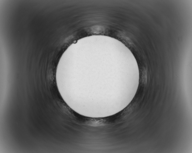 X0000083530569200703091514