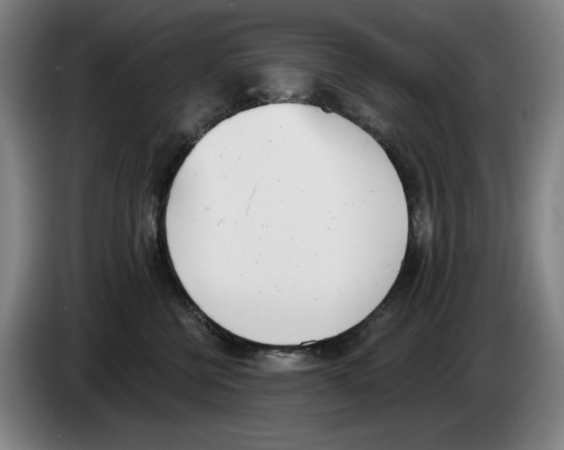 X0000083530570200703091514