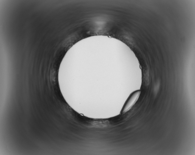 X0000083530571200703091514