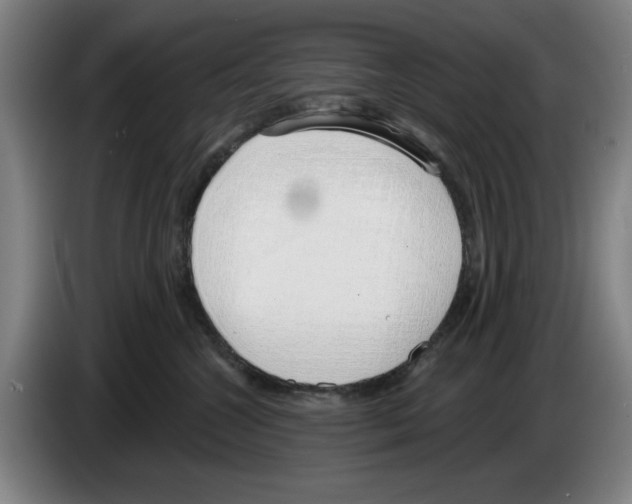 X0000083530572200703091514