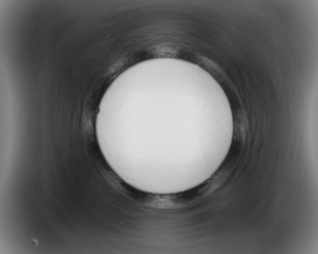 X0000083530573200703091514