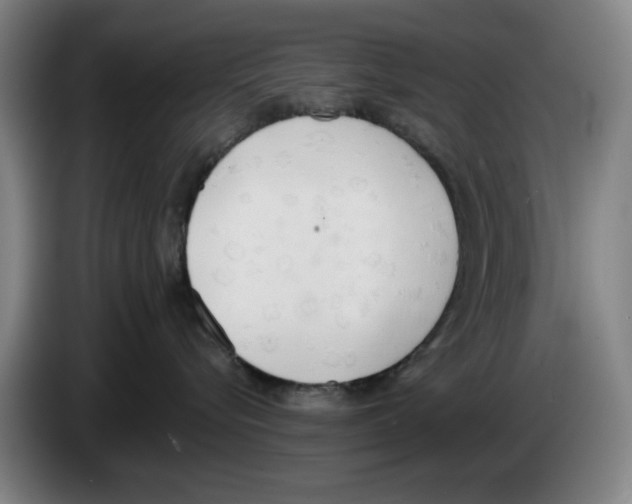 X0000083530576200703091514