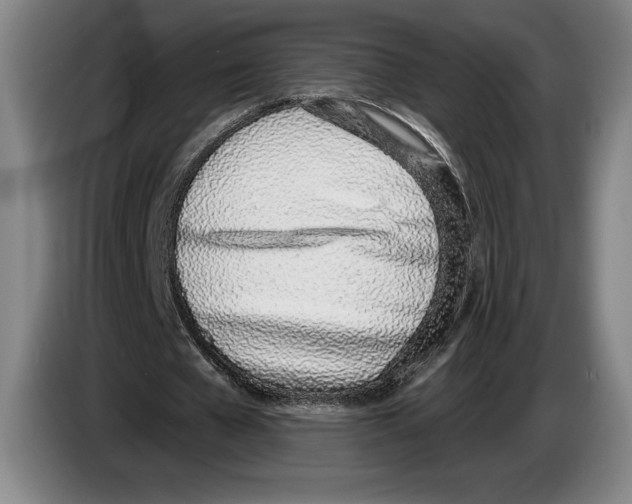 X0000083530577200703091514