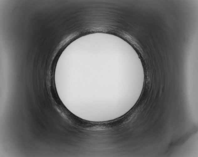 X0000083530578200703091514