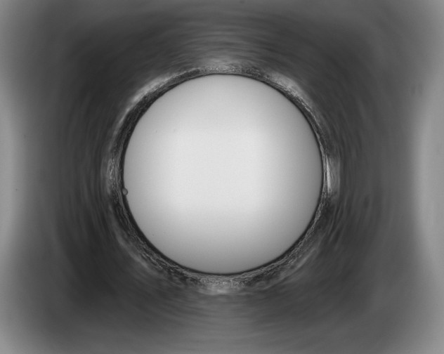 X0000083530579200703091514