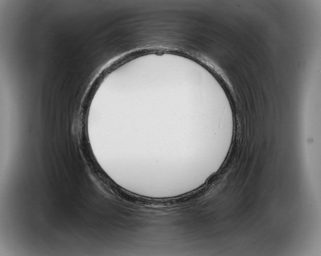 X0000083530580200703091514