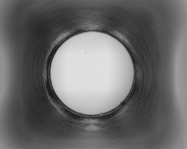 X0000083530582200703091514