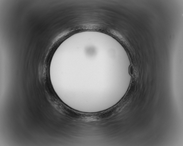 X0000083530583200703091514