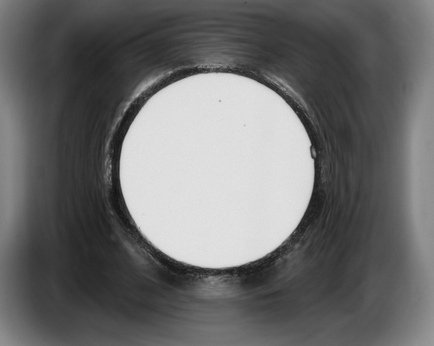 X0000083530584200703091514