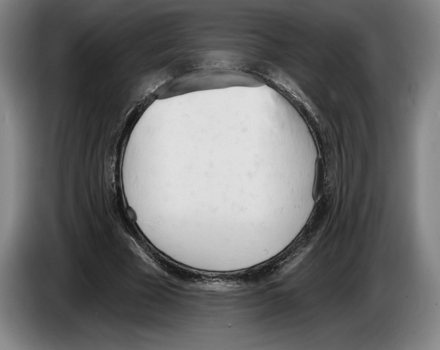 X0000083530585200703091514