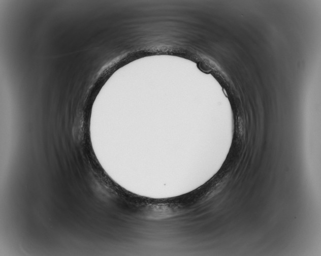 X0000083530588200703091513