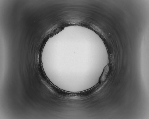 X0000083530589200703091513