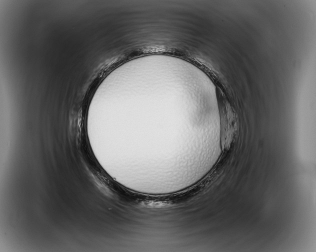 X0000083530590200703091513