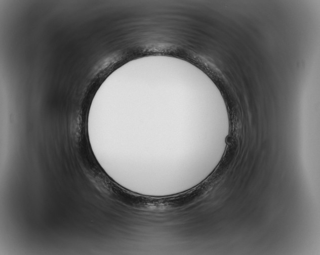 X0000083530591200703091513