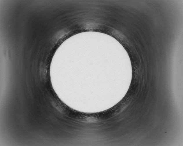 X0000083530592200703091513