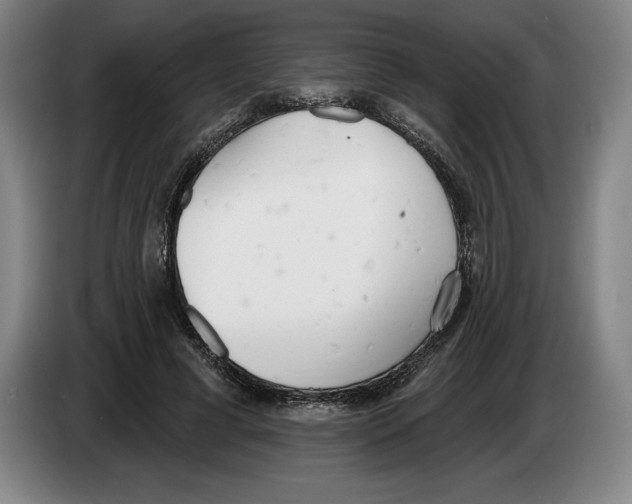 X0000083530593200703091513