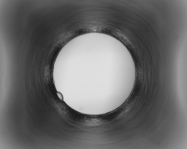 X0000083530594200703091513