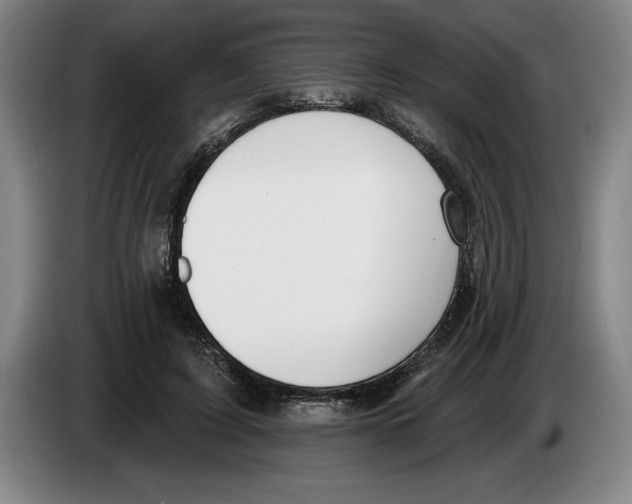 X0000083530595200703091513