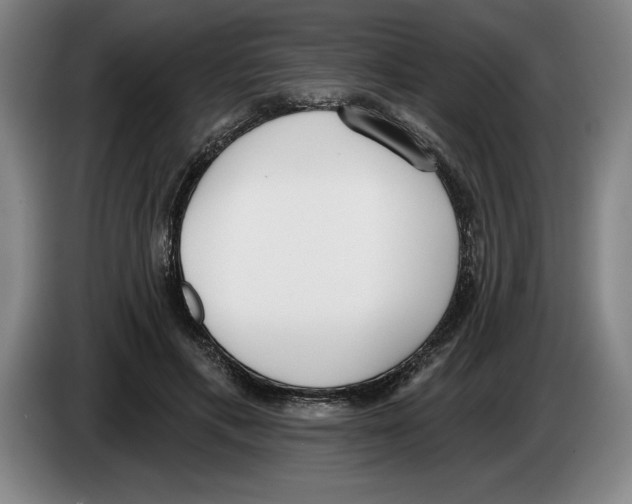 X0000083530597200703091513