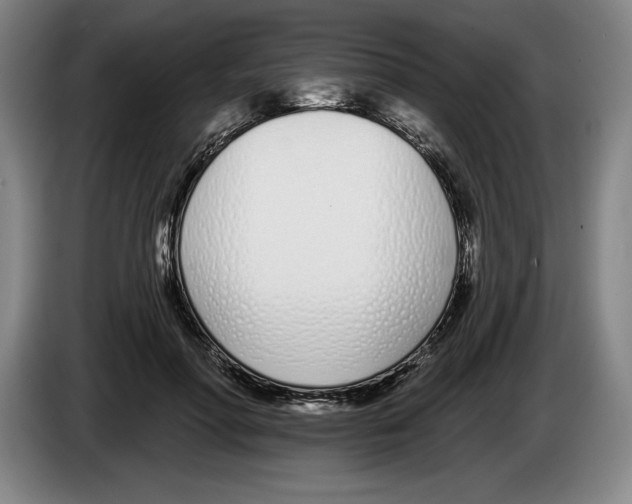 X0000083530598200703091513