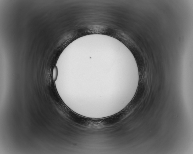 X0000083530599200703091513