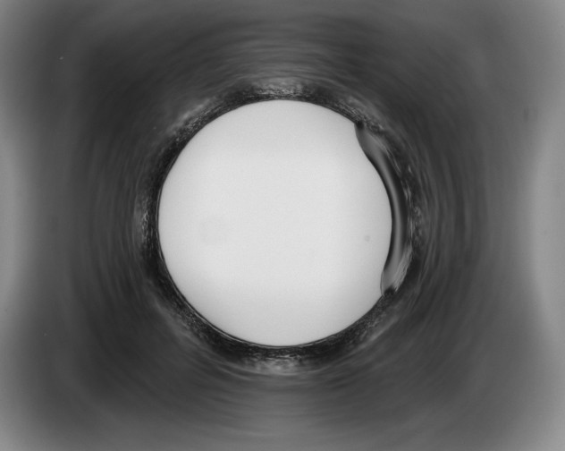 X0000083530600200703091513