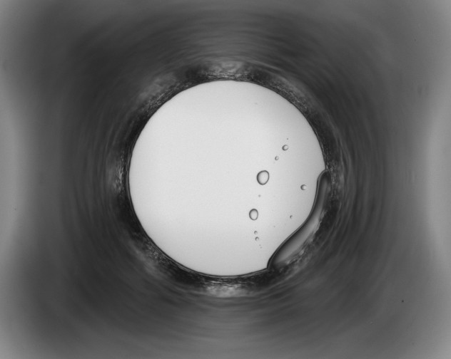 X0000083530602200703091513