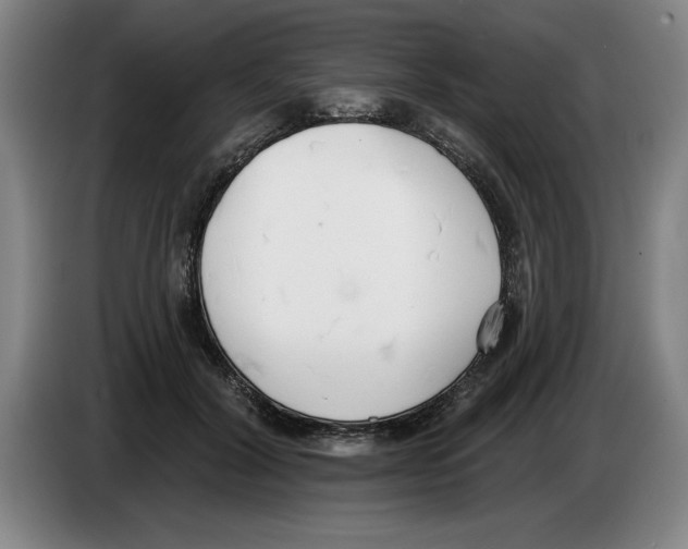 X0000083530604200703091513