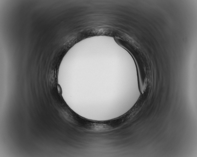 X0000083530605200703091513