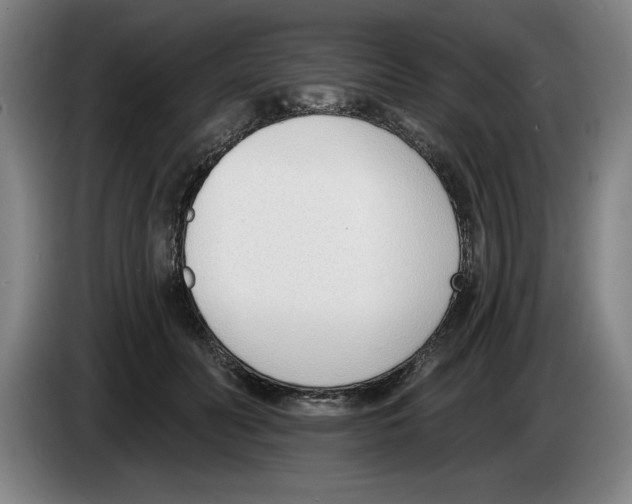 X0000083530606200703091513