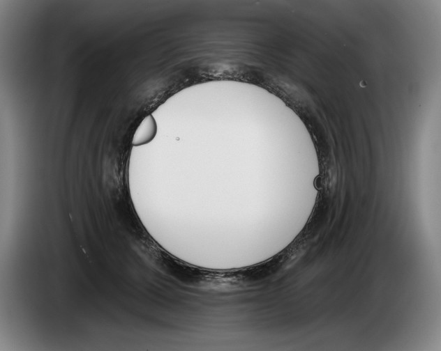 X0000083530607200703091513