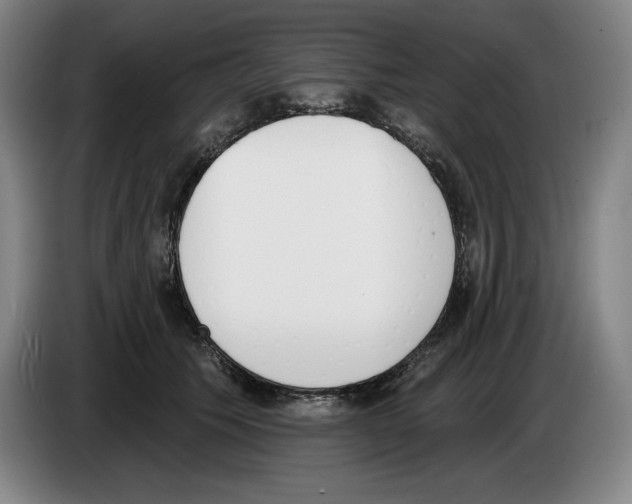 X0000083530609200703091513