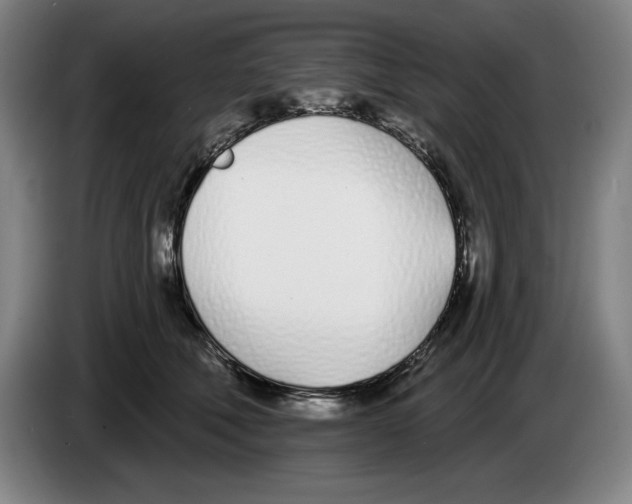 X0000083530610200703091513