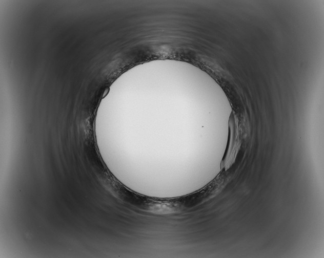 X0000083530611200703091513